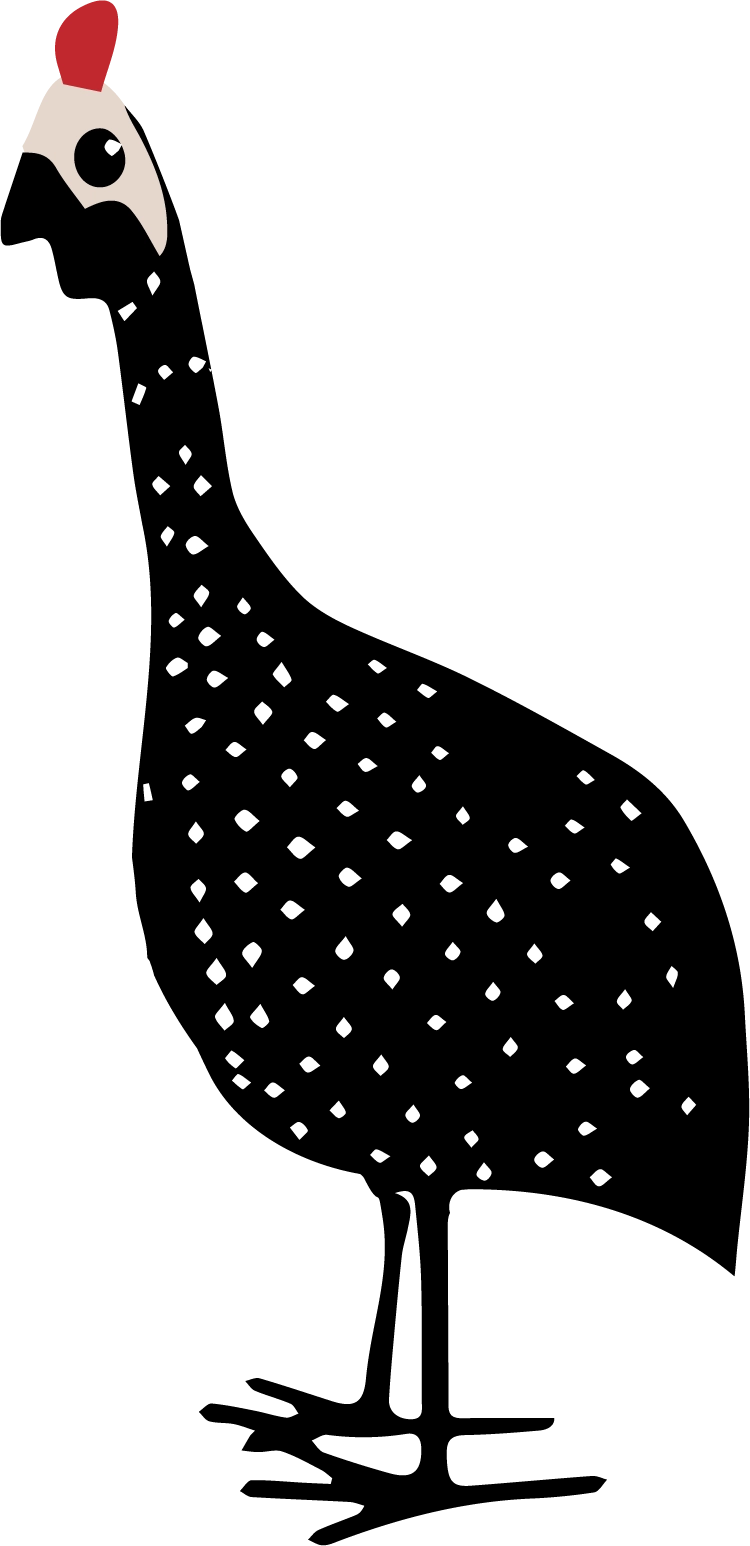 Ilustração estilizada de uma galinha-d’angola em pé, com corpo preto coberto por pequenas manchas brancas. A ave está voltada para a direita, tem pernas finas, cabeça clara com um pequeno topete vermelho e bico escuro. O desenho é simples, com traços limpos e aparência gráfica.